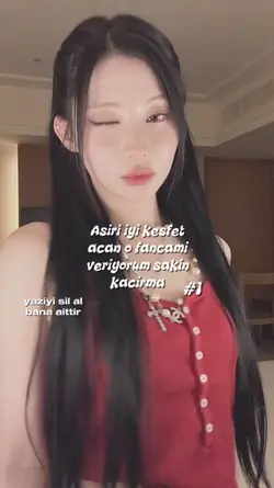 Fancam
