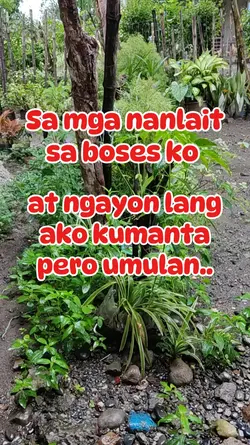 Kakanta ulit ako