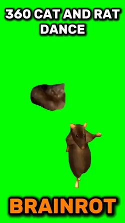 360 cat and rat 