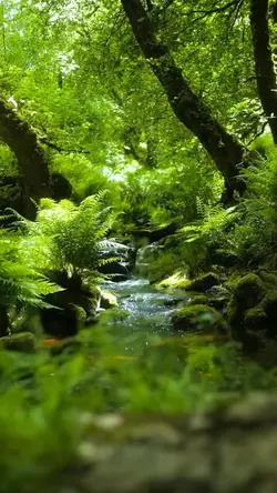 Natur Feen Vorlage 