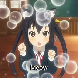 Cat cat cat! Meow