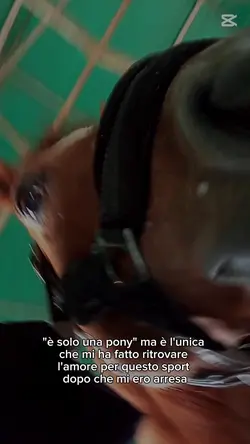 piccola pony