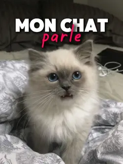 C’est trop mignon 😭