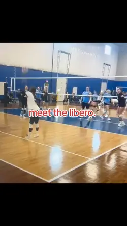 meet the libero. 