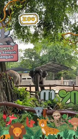 Zoo story 