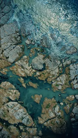 Funk Landscape 