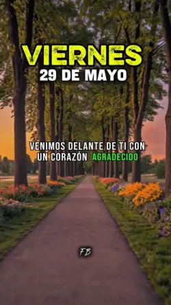 VIERNES 29 DE MAYO