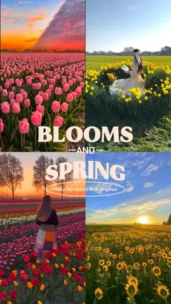 Blooms and spring