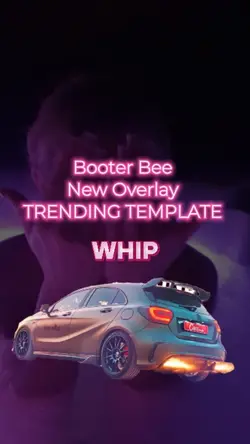 Booter Bee New