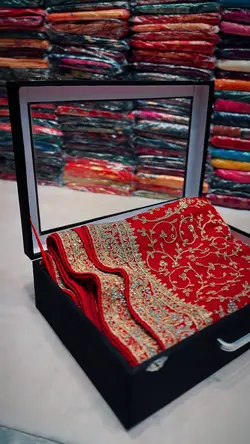 Saree cinematic 