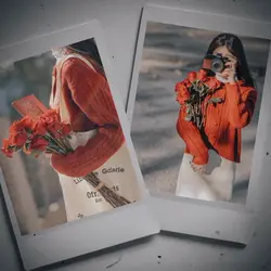 frame Aesthetic