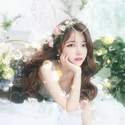 나비의 꿈