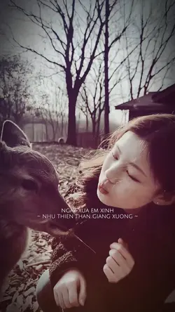 Xao xuyến remix