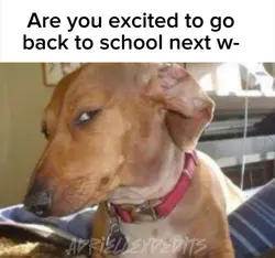 😭✌️