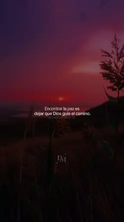 Asi la encontraras