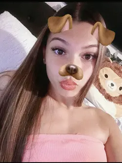 filter dog