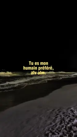 texte jaune 