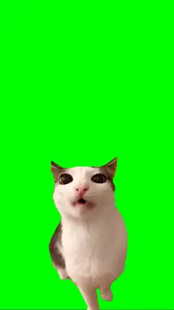 crunchy cat meme