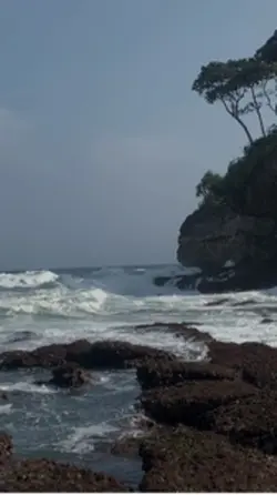 Ombak pantai 