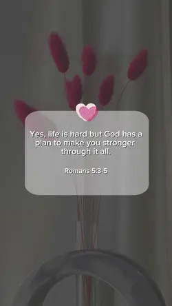 verse 
