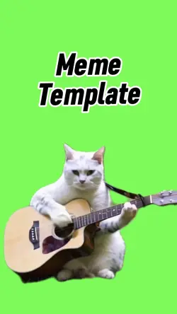 Guitar cat