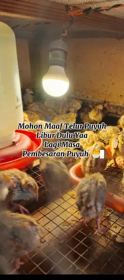 Banyak DM