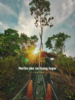 P. I. Siakol Cover