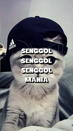 Senggol senggol mani