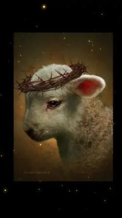 Lamb