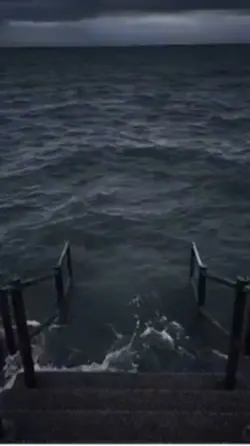 meme sea 2