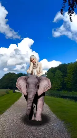 riding an elephant