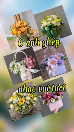 Ghép 6 ảnh hiệu ứng