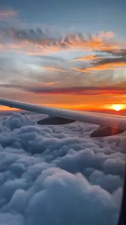 aesthetic