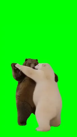 BEAR DANCE COUPLE