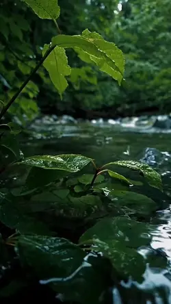 nature vibes