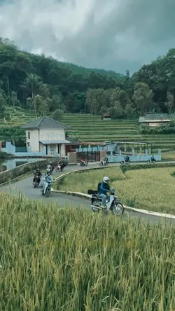 motor tua