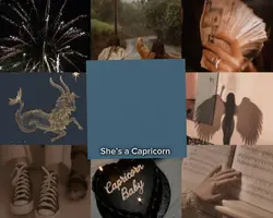 Capricorn 