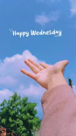 Happy wednesday