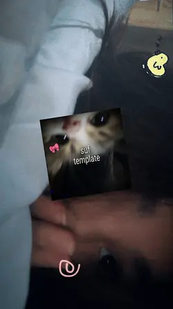 fihurina jj soft