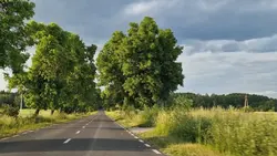 Countryside roads
