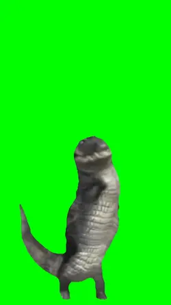 dancing crocodile 