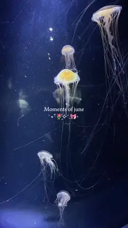 moments in june