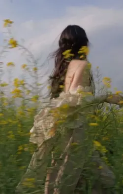 Cầm Kỳ Thi Hoạ