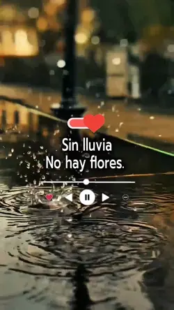TEAM LLUVIA 