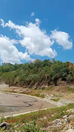 Plain video