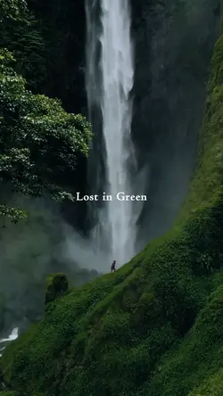 lost in green