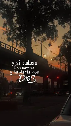 Viejo