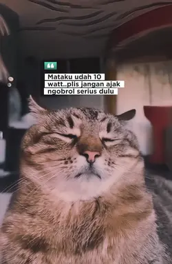 ngantuk berat
