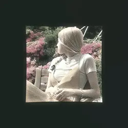 20 photos 