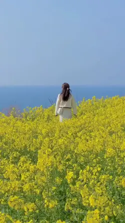 Rewrite the stars
